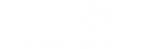 SONEPAR Logo
