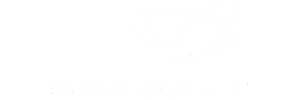 Logo SONEPAR