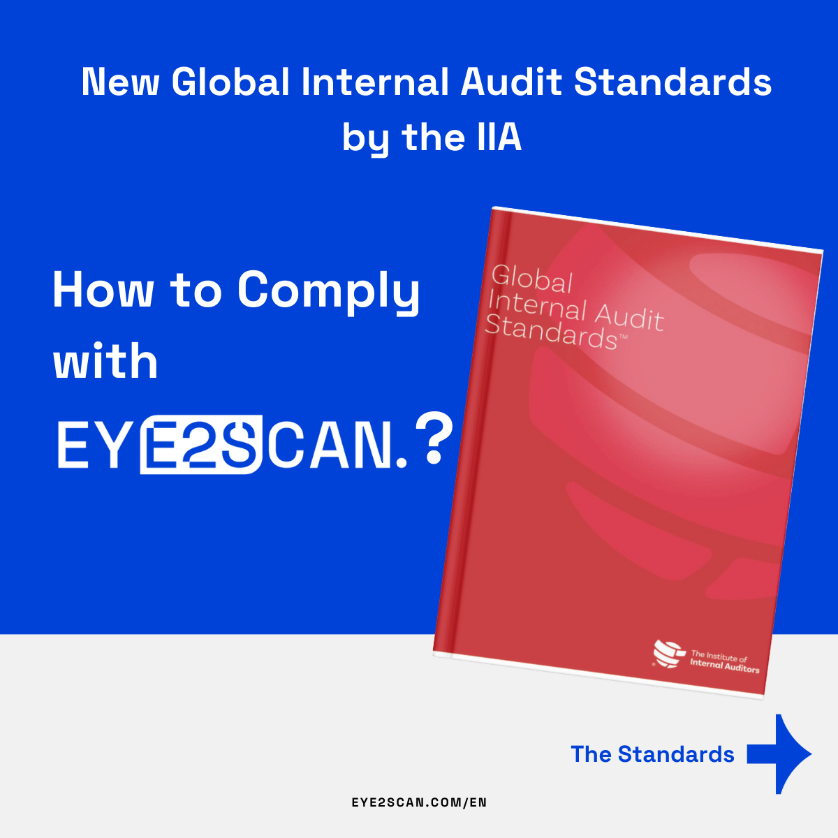 Global Internal Audit Standards and Eye2Scan
