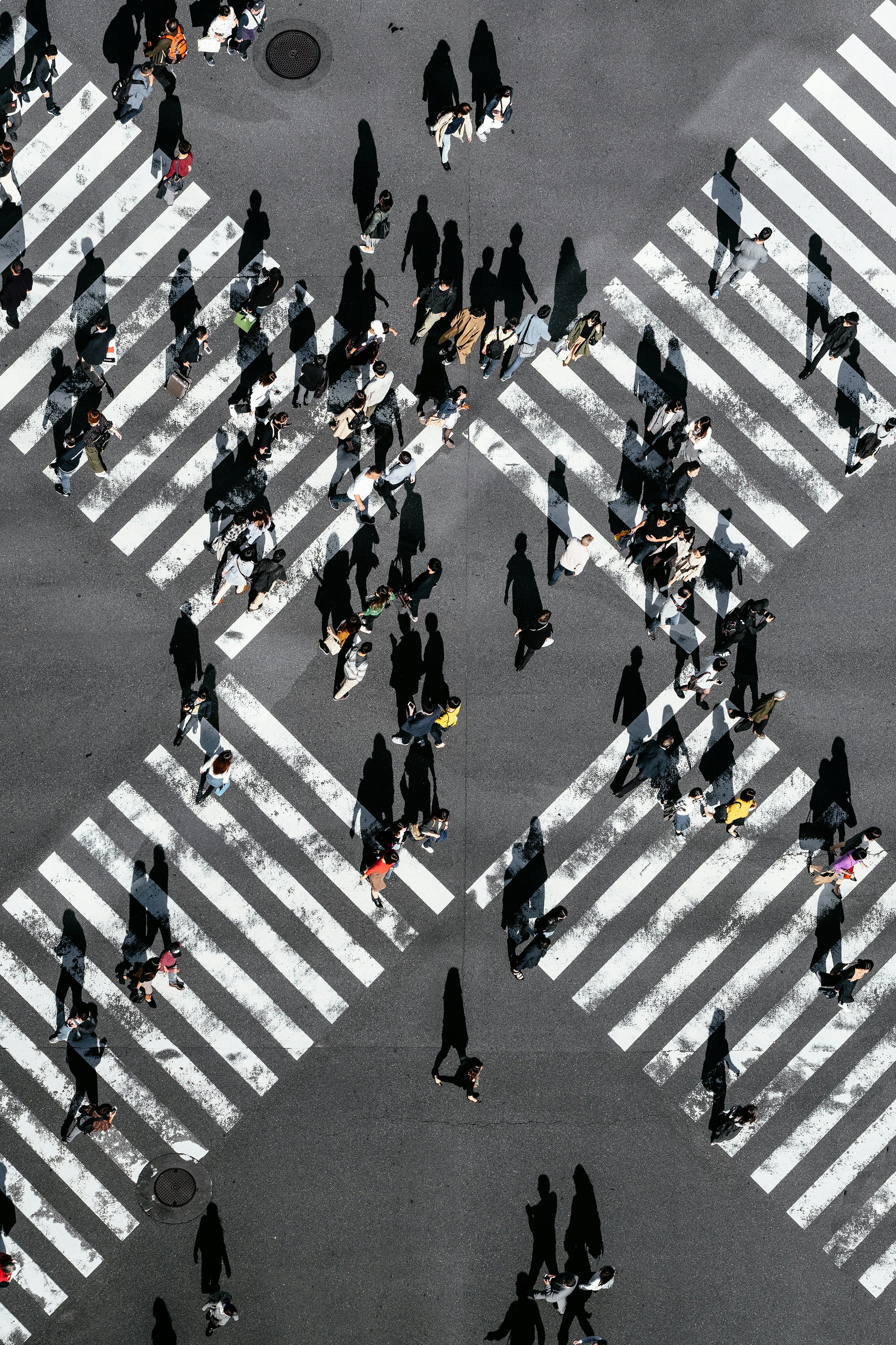 Tranversal Controls - Internal control